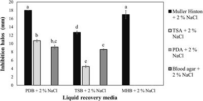 A Strain of Bacillus amyloliquefaciens Can Prevent Vibrio vulnificus Colonization in Crassostrea gigas Oysters